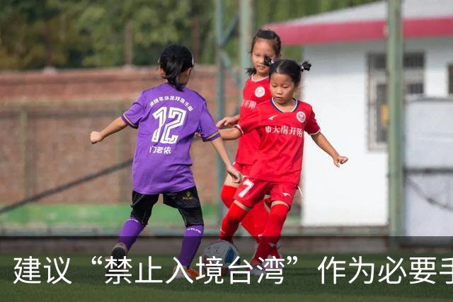 建议“禁止入境台湾”作为必要手段，惩罚挑衅“一个中国”的政客