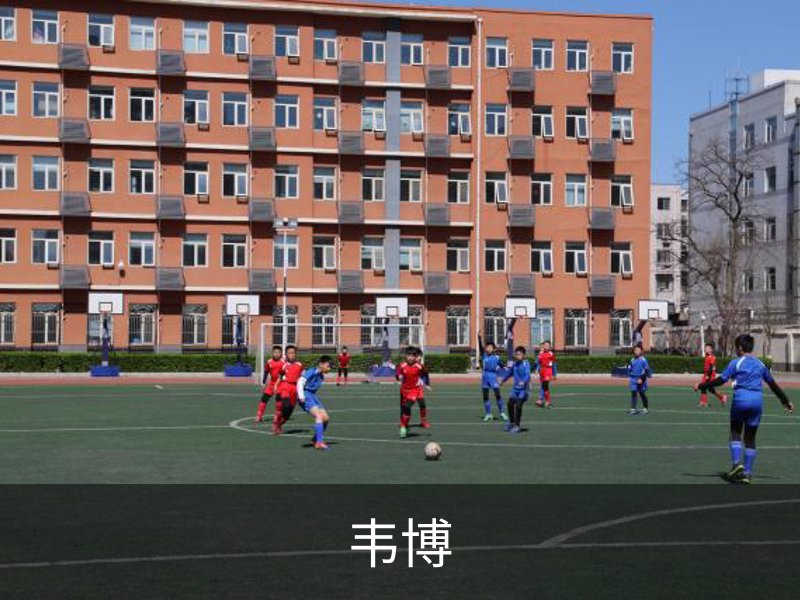 韦博品牌故事
